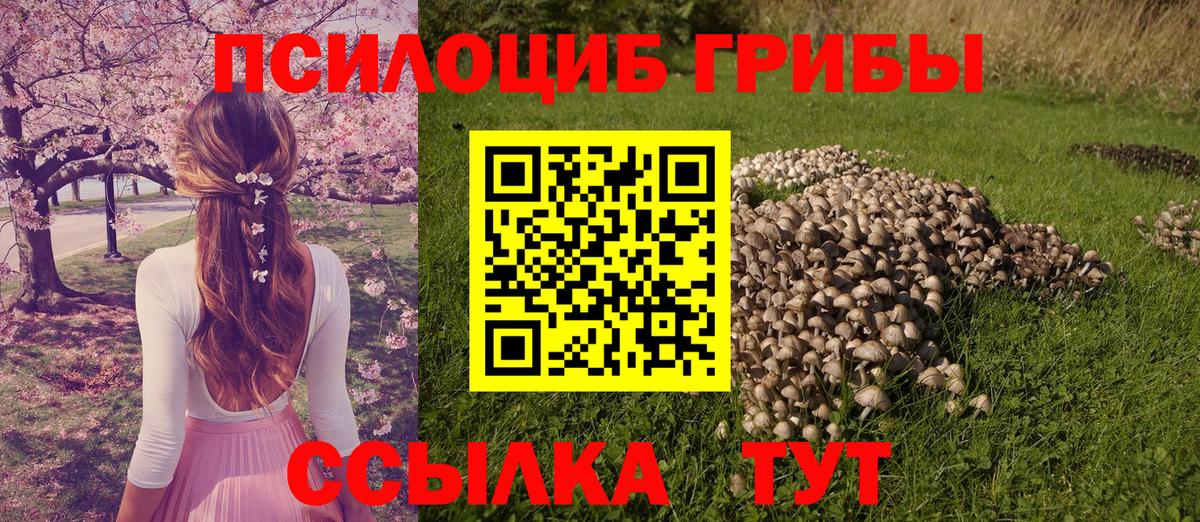 Псилоцибиновые грибы мицелий  Вход с VPN  Чебаркуль 